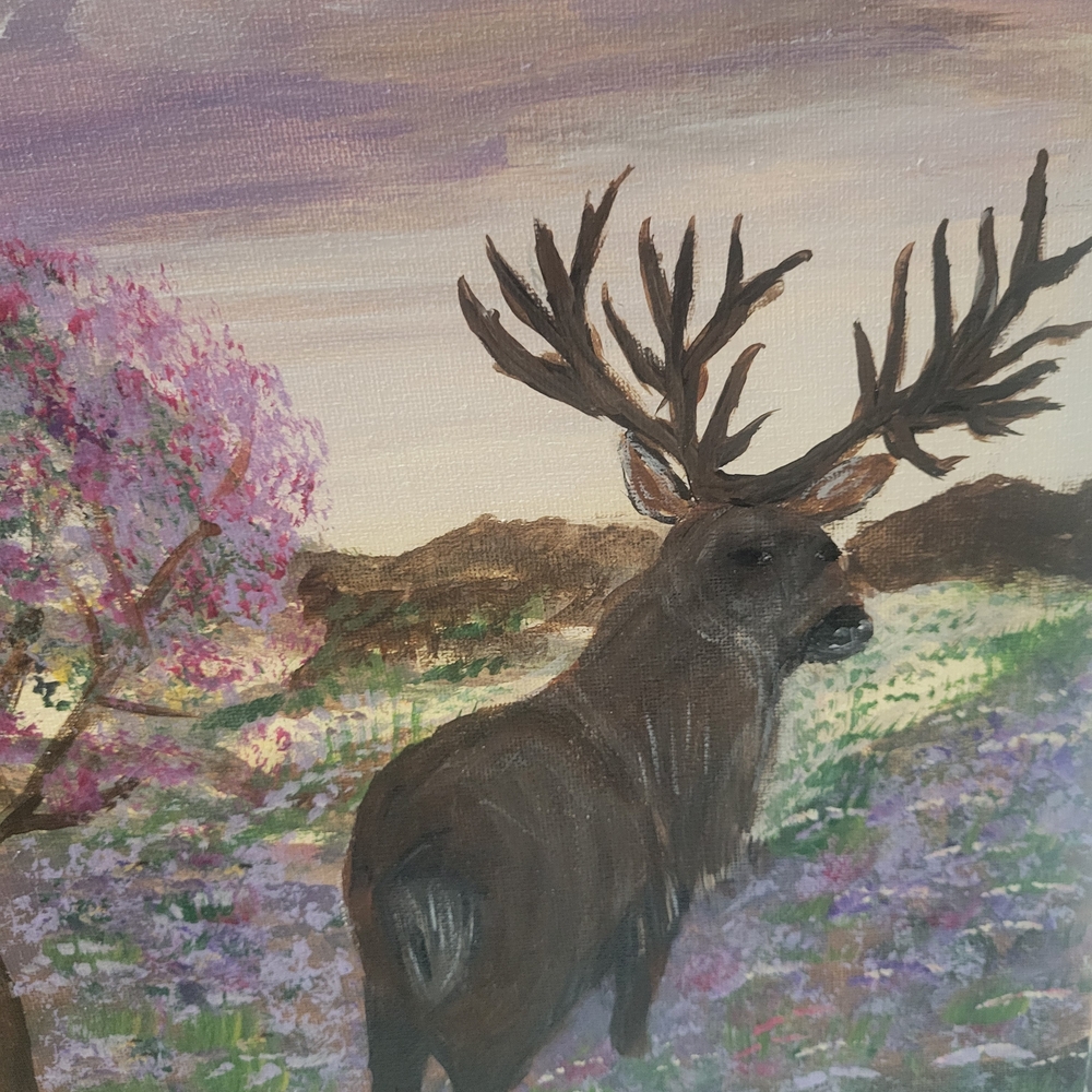 Elegant Deer in Blooming Meadow Canvas Art